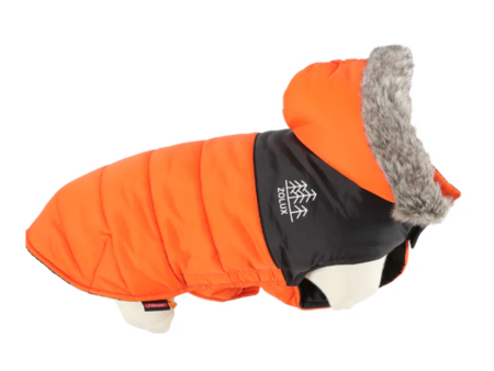 Zolux Parka Winter Hoodie Orange Small 25cm For Sale